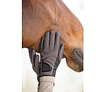 Winterrijhandschoen Softshell