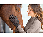 Winterrijhandschoen Softshell