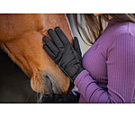 Winterrijhandschoen Softshell