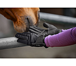 Winterrijhandschoen Softshell