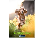 cadeaubon om online uit te printen