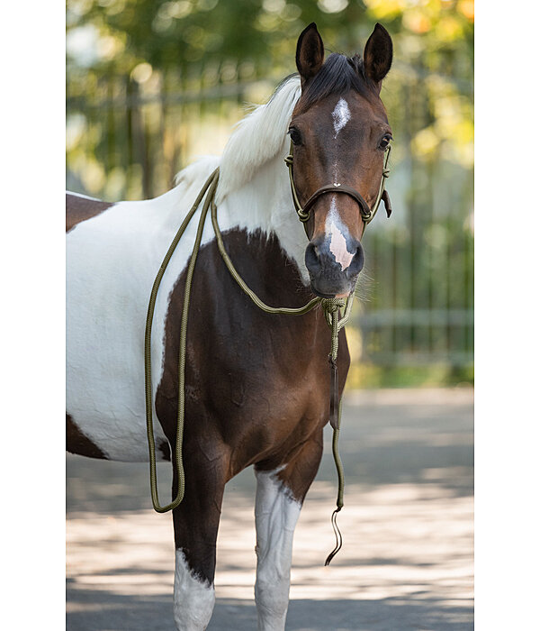 knoophalster Merano met mecate