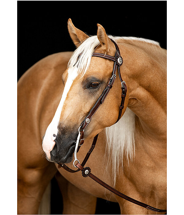 westernhoofdstel met teugels