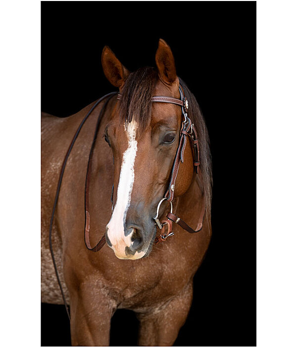 westernhoofdstel met teugels