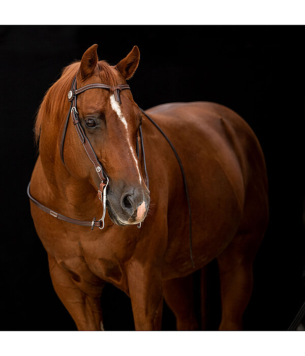 westernhoofdstel met teugels