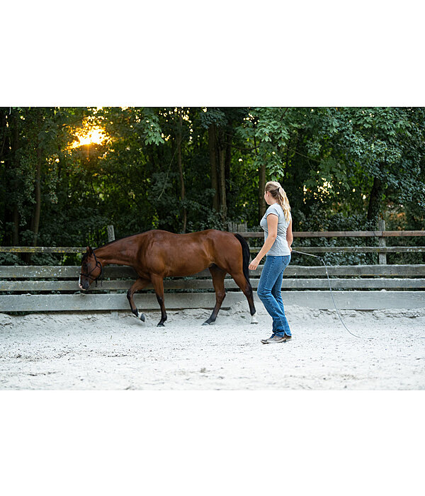 Horsemanship stick professioneel