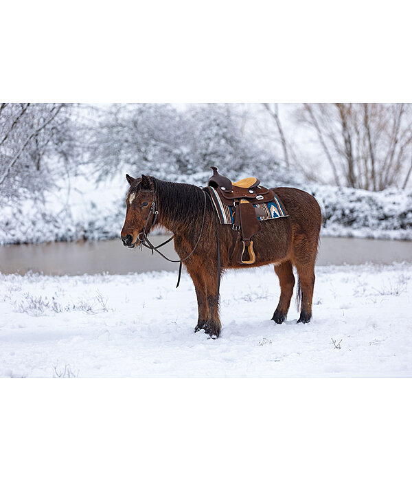 pony westernzadel