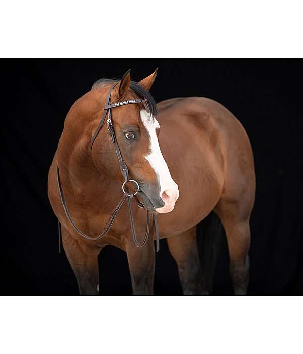 Mix & Match Futurity  geknoopte frontriem Crystal