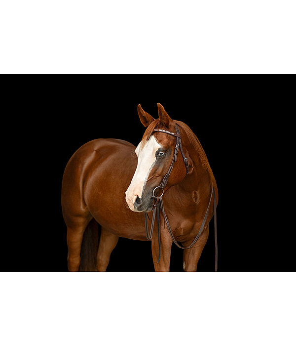 Mix & Match Futurity  geknoopte frontriem Crystal