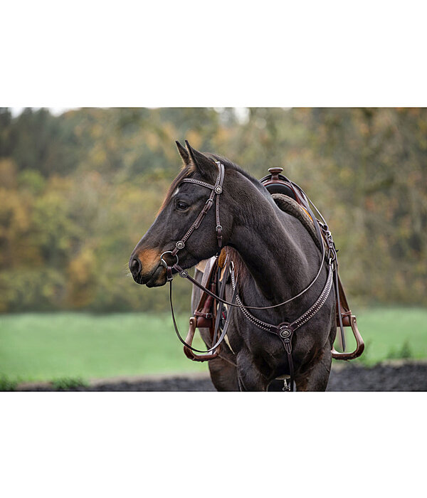 westernhoofdstel met teugels Stars