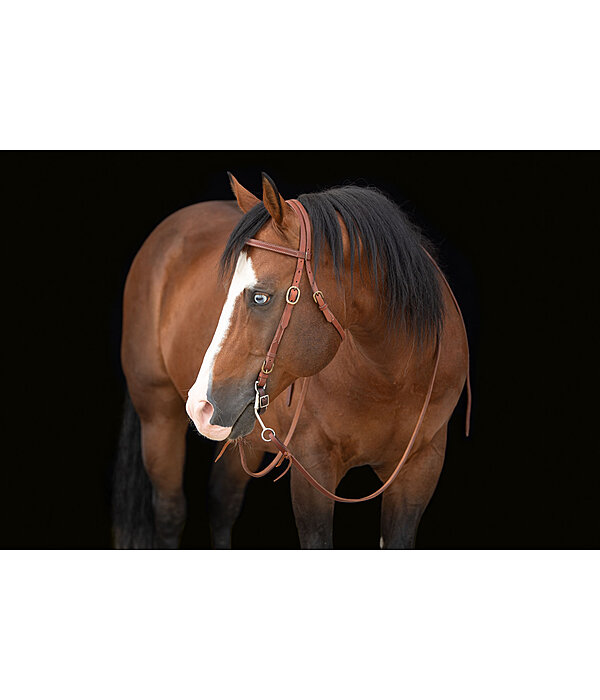 werkhoofdstel Buckle End