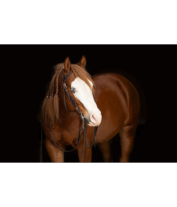 Western hoofdstel Copper