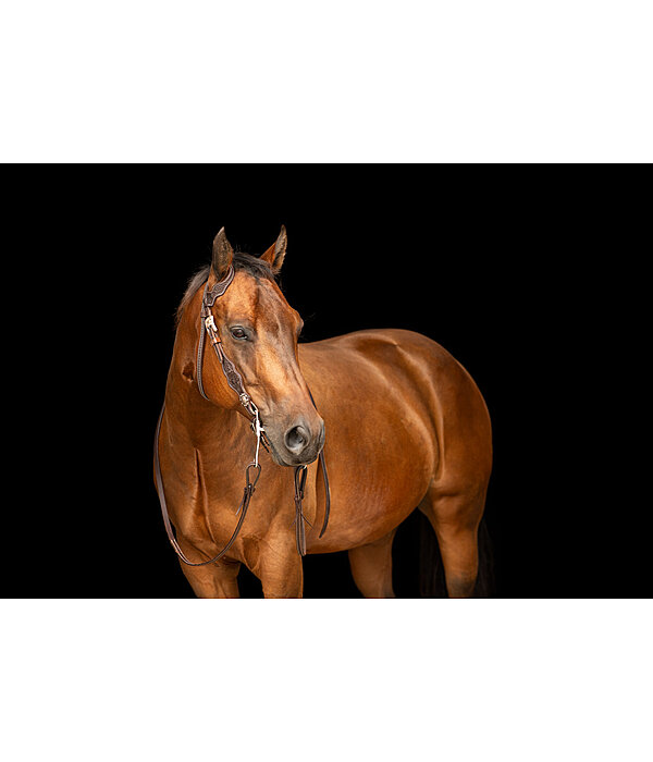 Western hoofdstel Copper