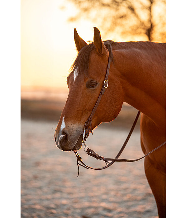 One Ear trainingshoofdstel Harness