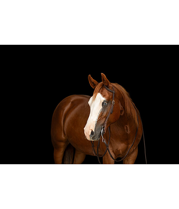 One Ear trainingshoofdstel Harness