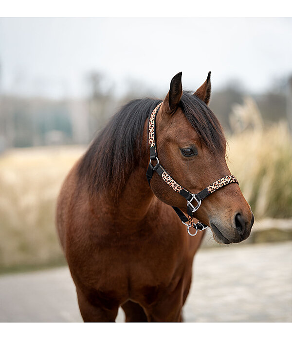halster Leo