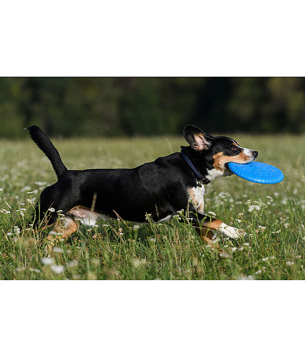 honden frisbee Runaway