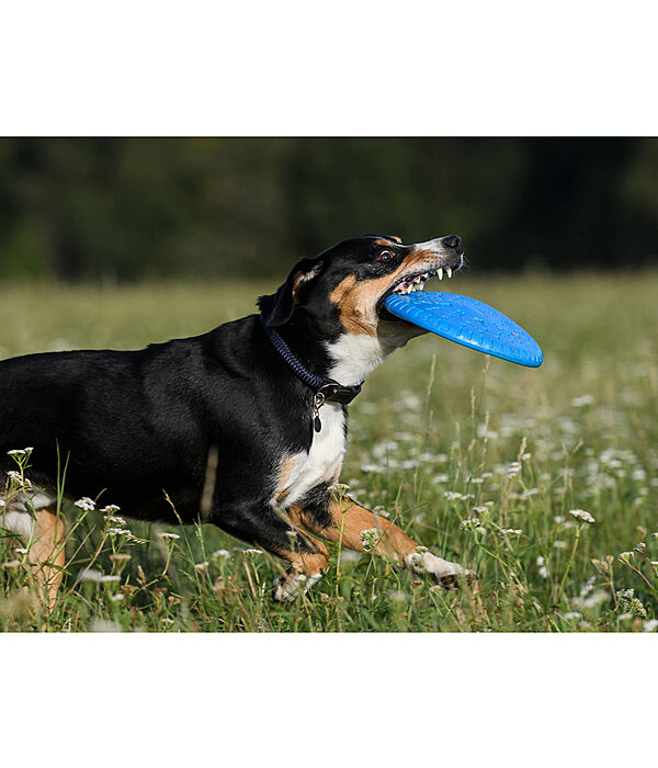 honden frisbee Runaway