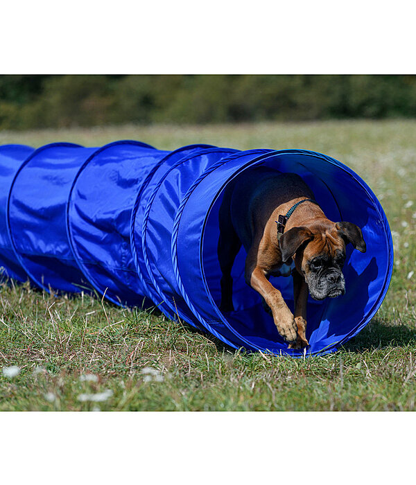 agility tunnel