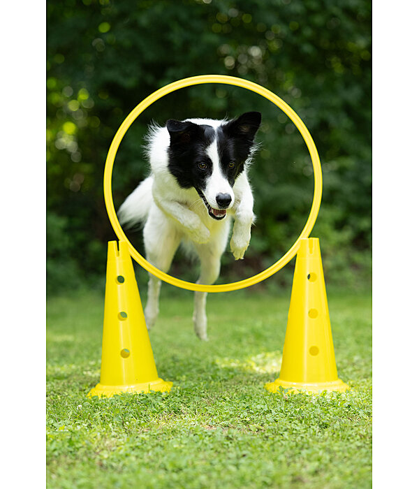 agility pylonen