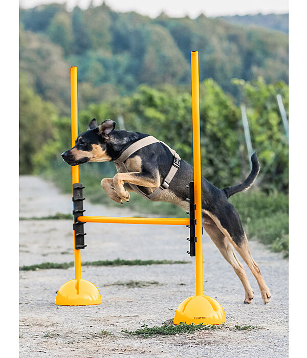 agility stangensteun