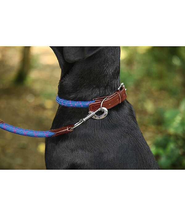 hondenhalsband Coloured Rope