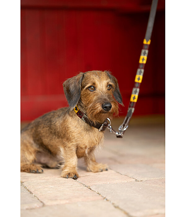 set:  lederen hondenhalsband en -lijn Polo Sports