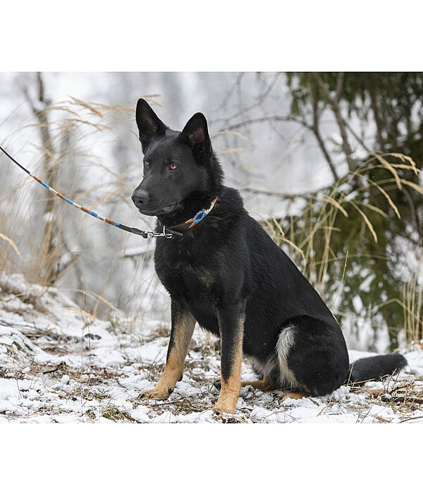 set:  lederen hondenhalsband en -lijn Polo Sports