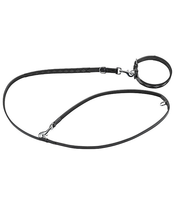 set:  lederen hondenhalsband en -lijn Polo Sports