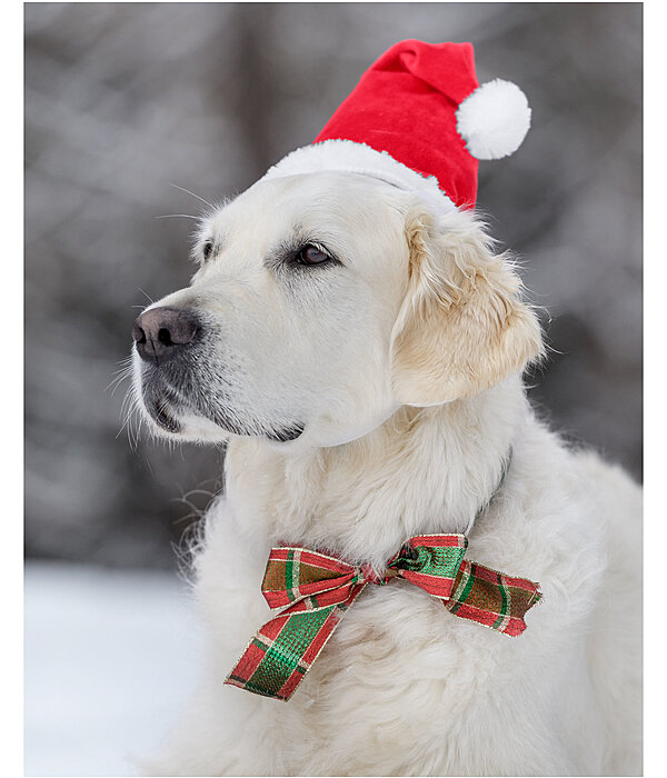 hondenkerstmuts Santa