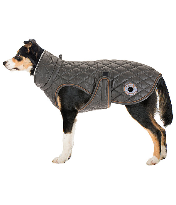 hondendeken Archie met teddyfleece voering, 160 g