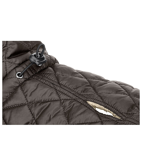 hondendeken Archie met teddyfleece voering, 160 g