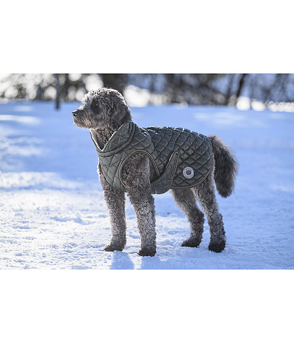 hondendeken Archie met teddyfleece voering, 160 g