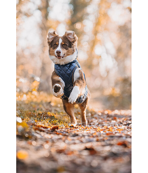 hondendeken Archie met teddyfleece voering, 160 g
