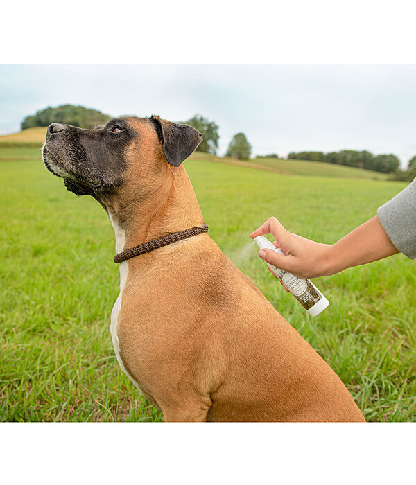 honden vachtspray Evergreen Woods