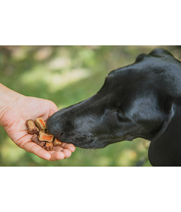 bonte Snack-Mix voor honden