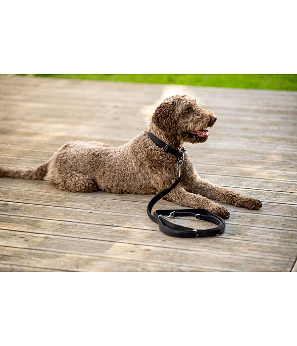 hondenhalsband Becks