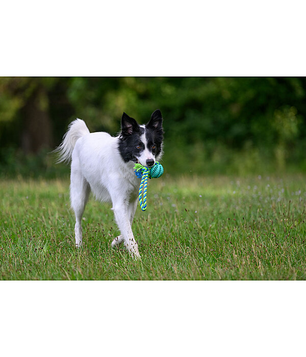 tanden reinigend hondenspeelgoed Cleo