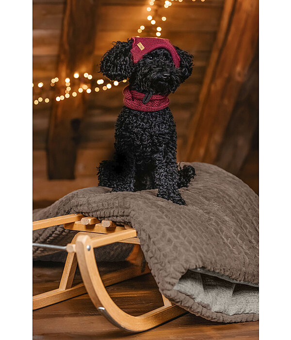 honden Beanie Evin