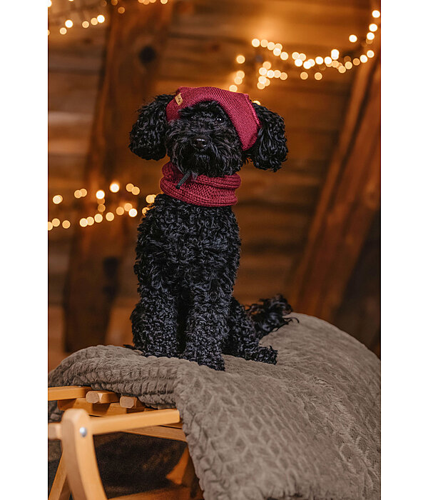 honden Beanie Evin