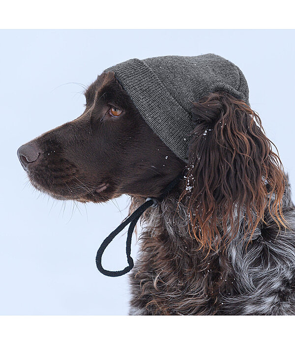 honden Beanie Evin