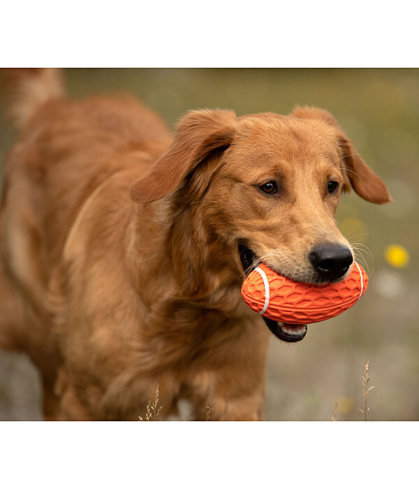 werpspeeltje Football voor honden