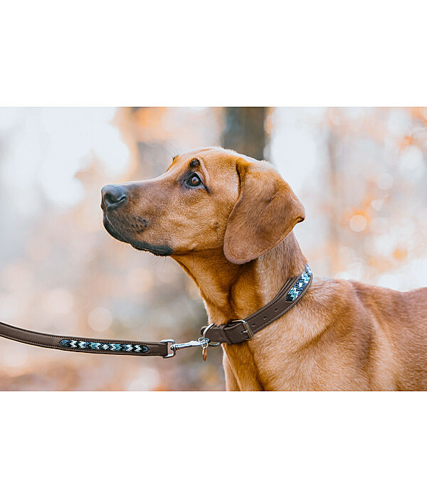 lederen honden halsband Nashville