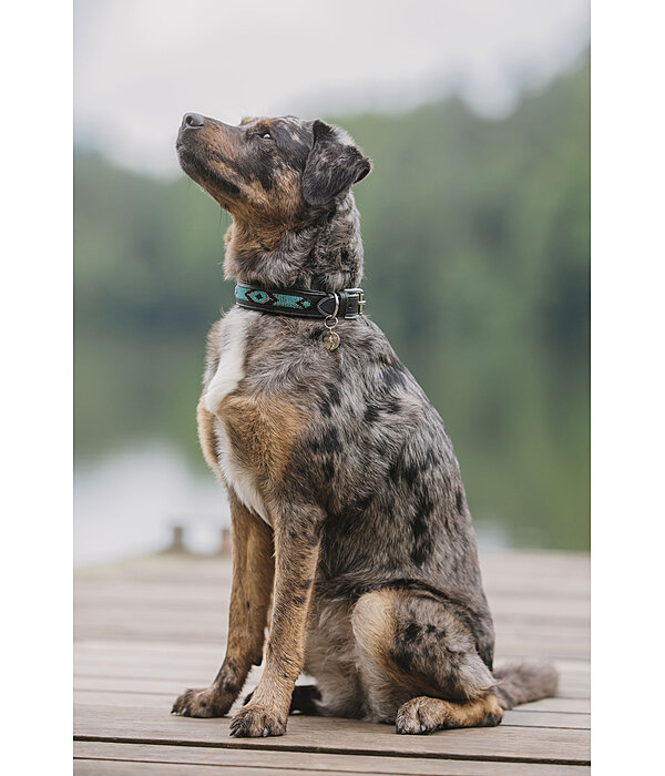 lederen honden halsband Nashville