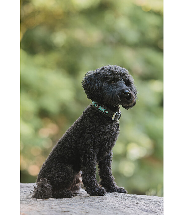 lederen honden halsband Nashville