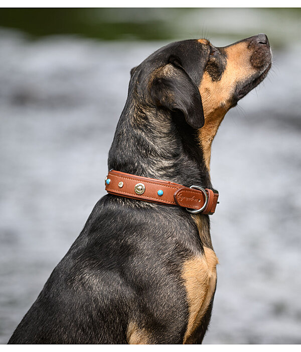 lederen honden halsband Chinook