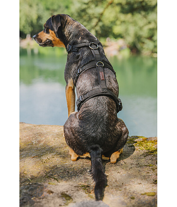 veiligheidstuig Irmi voor honden