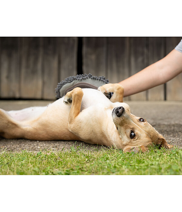 handschoen-kam Cosma voor honden