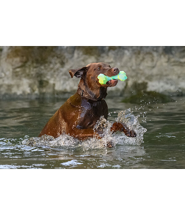 honden waterspeelgoed Marble Bone