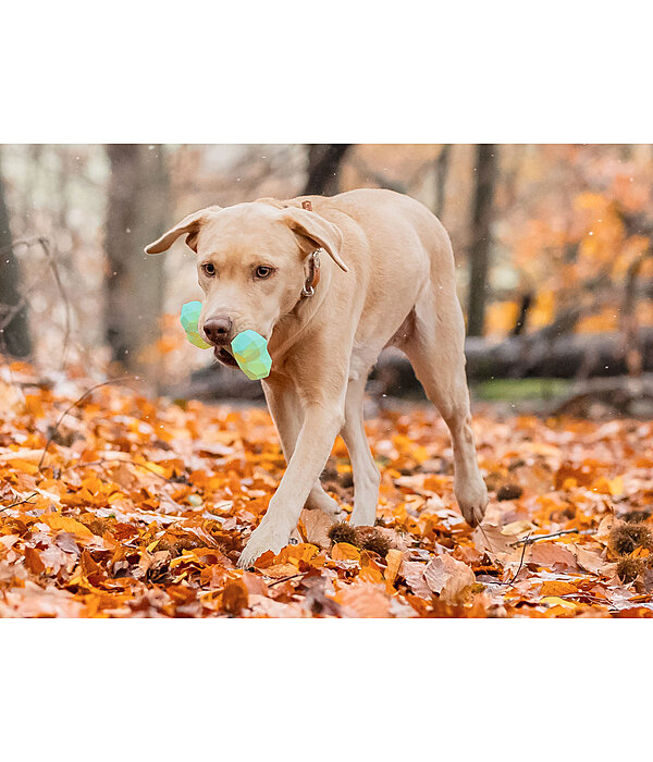 honden waterspeelgoed Marble Bone